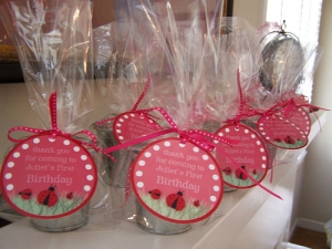 Birthday Party Decorations on Ladybug Theme Party Favors For Little Girl S First Birthday